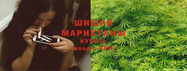 ПСИЛОЦИБИНОВЫЕ ГРИБЫ Алексеевка