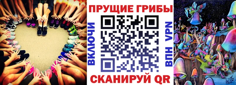 Псилоцибиновые грибы Psilocybe  Ступино 